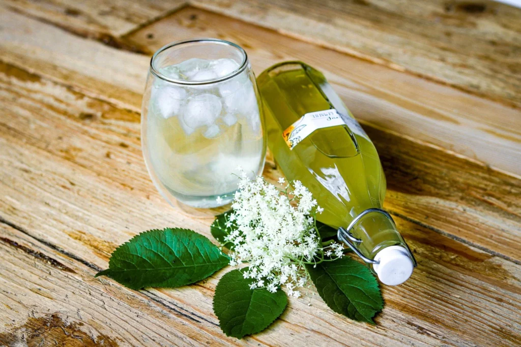 hollersirup holunderblütensirup