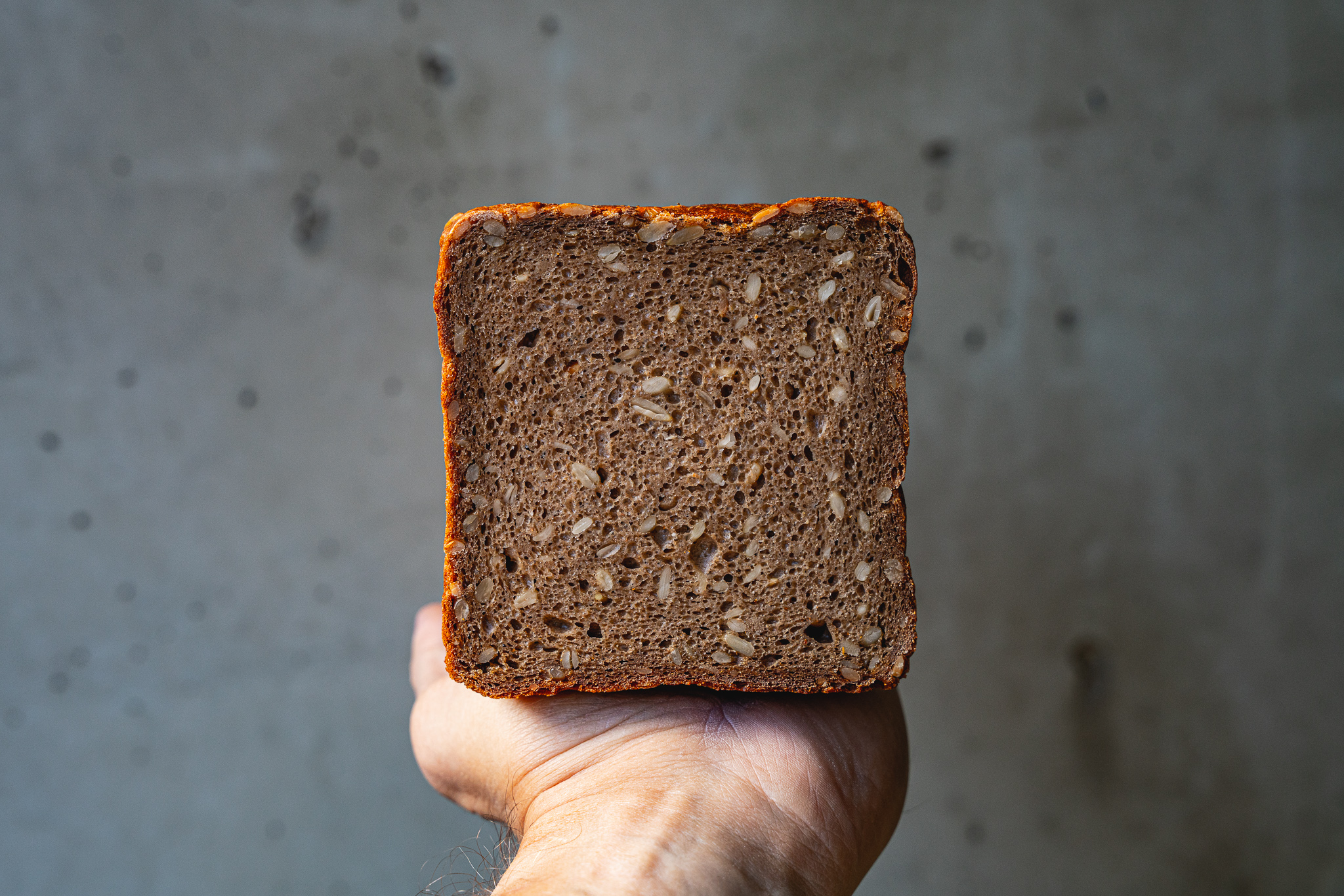 Roggenbrot mit Sauerteig: Motion Cooking Basics