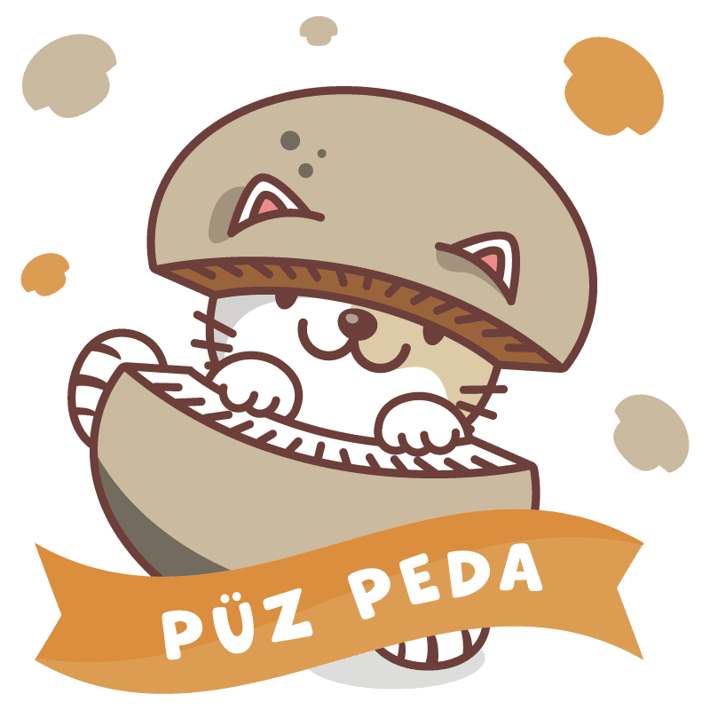 Püz Peda Würzsauce