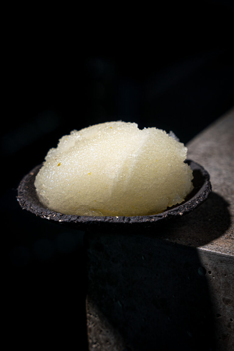 Holunder Sorbet