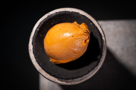 Marillen Sorbet
