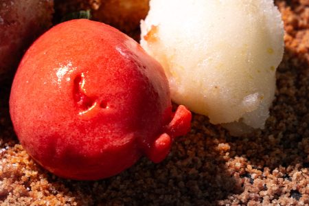 Erdbeer Sorbet