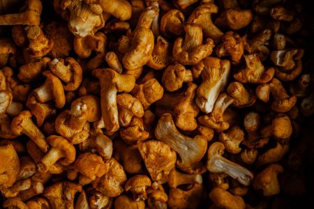 Eierschwammerl Pasta mit Parmesan