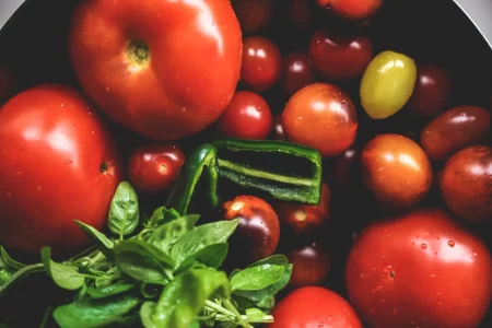 fermentierte paradeiser