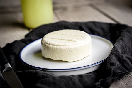 Paneer selber machen