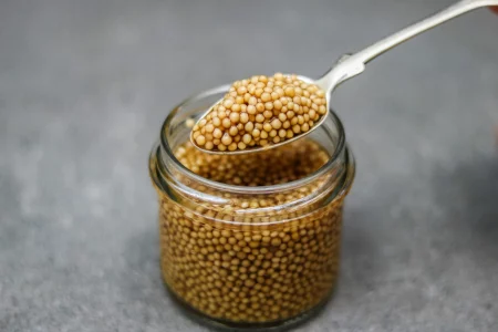 senfkaviar-rezept-einfach